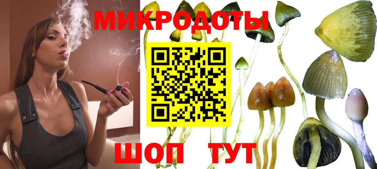 Галлюциногенные грибы мицелий Ейск